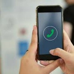 10cm _ Phonecert _ Bass Cover