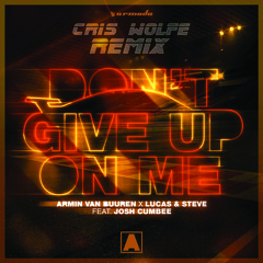 Don't Give Up On Me (Cris Wolfe remix)