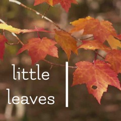 little leaves