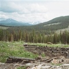 a song for a lover of long ago (shit cover)