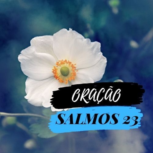 Salmos 23 – Uma Forte Oração Da Proteção E Providência De Deus