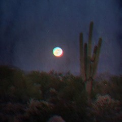 Midnignt Moons