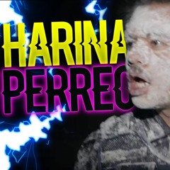 PAPANTLA TUS HIJOS VUELAN (HARINA PERREO) - CARLOSMOTION