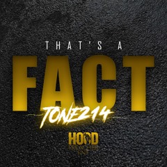 Thats A Fact - Tone214