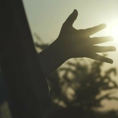 Top Down [Prod. whyzoo]