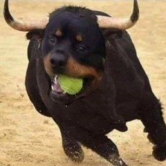 Wenn DU Augen siehst wo keine sind dRaUssen nur noch FEInDE siNd
