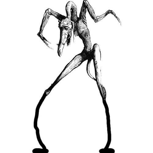 Stream Cardboard Dead Boy I Think There's Something Wrong With My Legs Because They Won't Stop