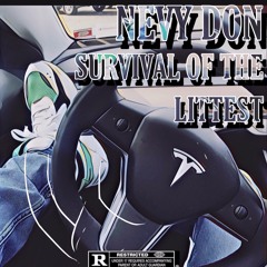 Nevy Don - No Stress [SURVIVAL OF THE LITTEST]