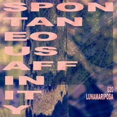 Spontaneous Affinity #020: Lunamariposa