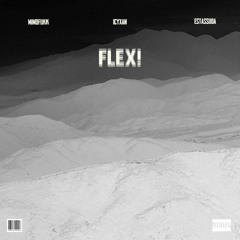 FLEX! (Ft. Icyxan & Estassuda)