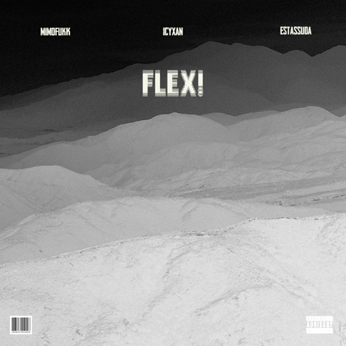 FLEX! (Ft. Icyxan & Estassuda)