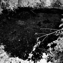 Some Way {PROD. ARTICLE}