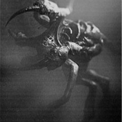 Hunt: Showdown - Book of Monsters: Spider - Entry 1