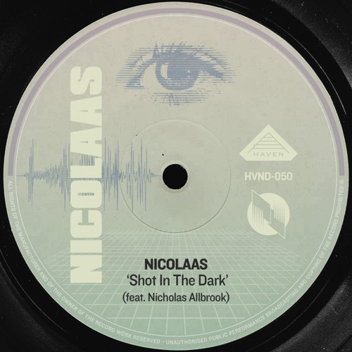 Shot In The Dark (feat. Nicholas Allbrook)
