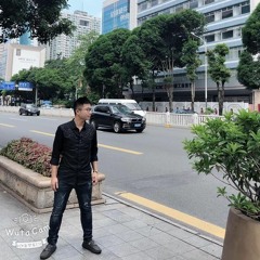 Cuộc Vui Cô Đơn - Vietmix - Dj Thịnh Kul On The Mix...!