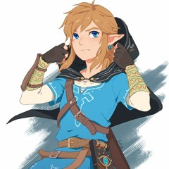 The Champion of Hyrule