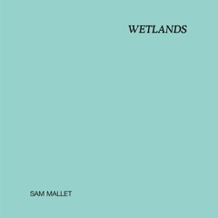 Sam Mallet - Skateboard Terrain (MP006 / RD01)