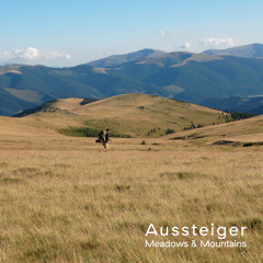 DC Promo Tracks #458: Aussteiger "Meadows & Mountains"