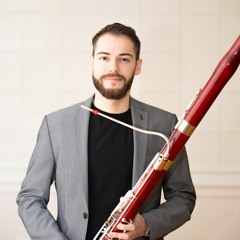 Antonio Vivaldi - Concerto in Mi minore per fagotto, archi e basso continuo I. Allegro poco