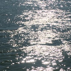 Everything Is My Family