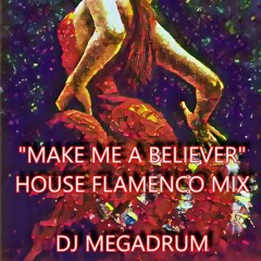 MAKE ME A BELIEVER - Dance House Flamenco