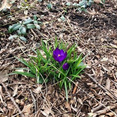 to the end cover by mack brock feat. becca