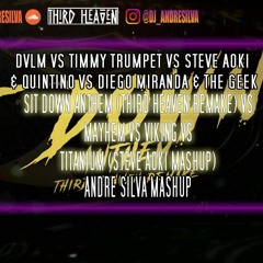 Sit Down Anthem VS Mayhem vs Viking vs Titanium (Steve Aoki Mashup)  -  André Silva Mashup
