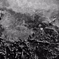 Fallen World full version (Film music)