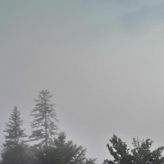 PerduDansLeBrouillard