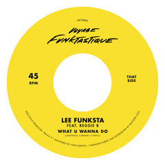 Lee Funksta - What U Wanna Do feat. Reggie B - Available on 7' Vinyl