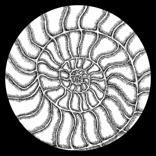 Premiere: Border One - Surge [BORDER01]