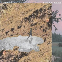 BRAIN ONE - EARTHING SIGNAL