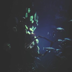 Academy Garden - Odyssey