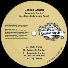 CRM14 // Cosmic Garden - Promise Of The Sun (incl. Glenn Underground Remix) 12"