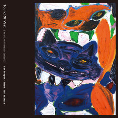 PREMIERE: San Proper - Your Call [Sound of Vast]