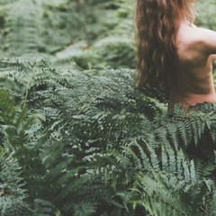 Psalm Trees - Favorite Jazz