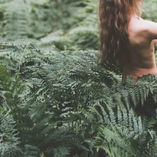 Psalm Trees - Favorite Jazz