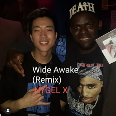 Wide Awake (Remix)