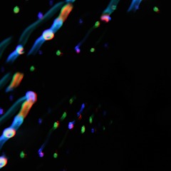 my cat sleeping at my friend's blanket