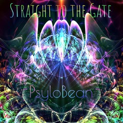 Straight to the Gate