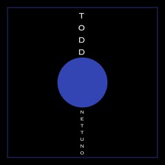 TODD (Italy) - NETTUNO - Traccia n° 9