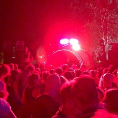 VELI x VIWO at Back To The Woods Festival 2019 (via Radio 80000)