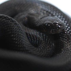 Jet Black (Ep. 15)