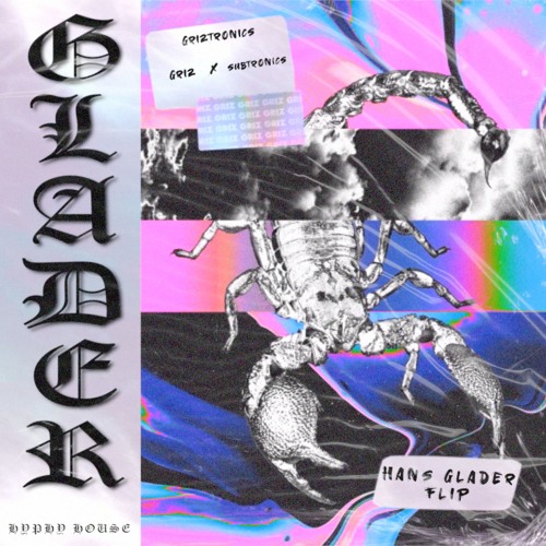 Subtronics & Griz - Griztronics [Hans Glader Flip]