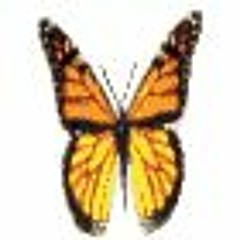 chill mix 2: ADIOS MI AMOR