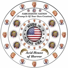 NARCISSISTIC NATION (Trump Is Of Your Own Creation)