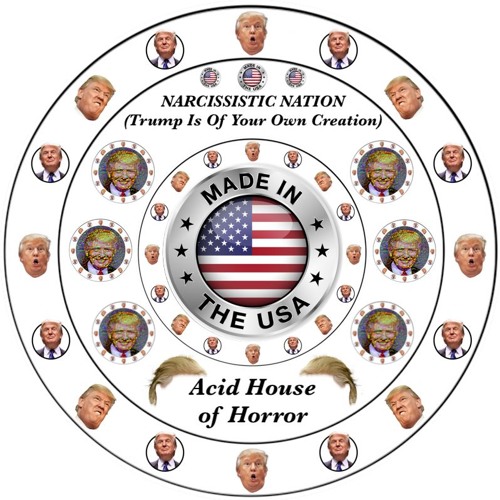 NARCISSISTIC NATION (Trump Is Of Your Own Creation)