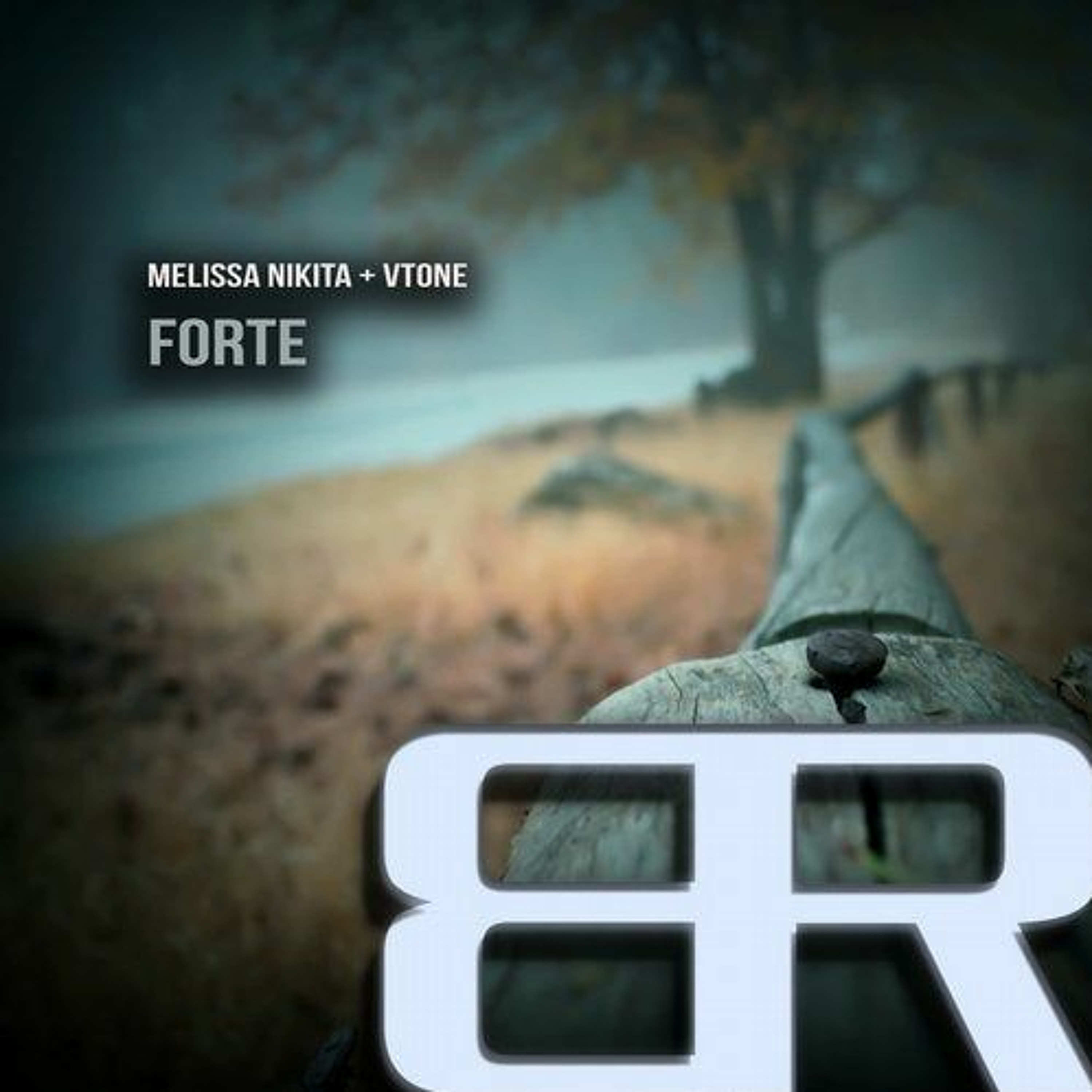 VTONE
