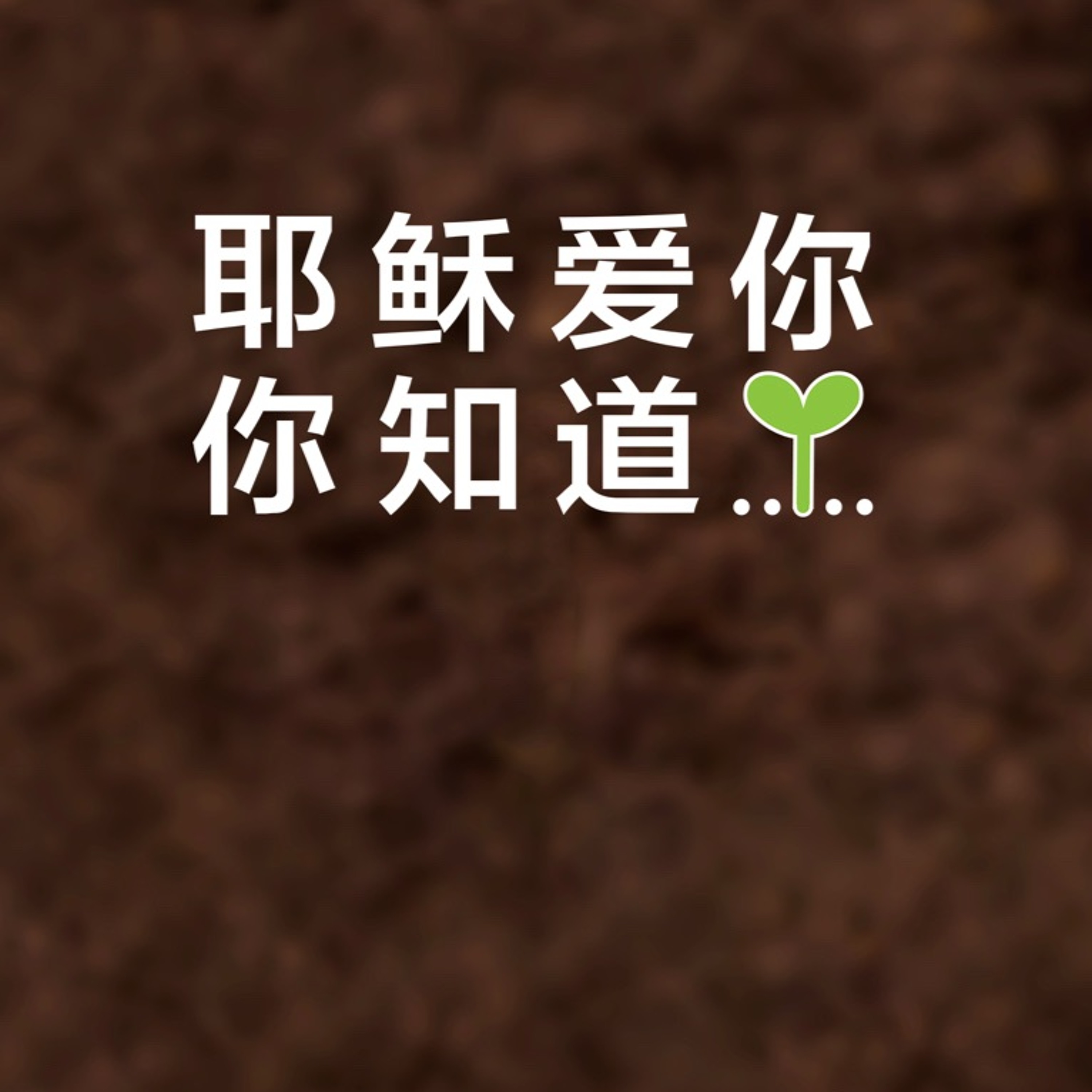 09/01/2019【耶稣爱你，你知道？】福音的故事——更新—王唯权牧师 episode artwork