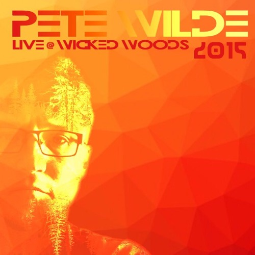 Live @Wicked Woods 2015